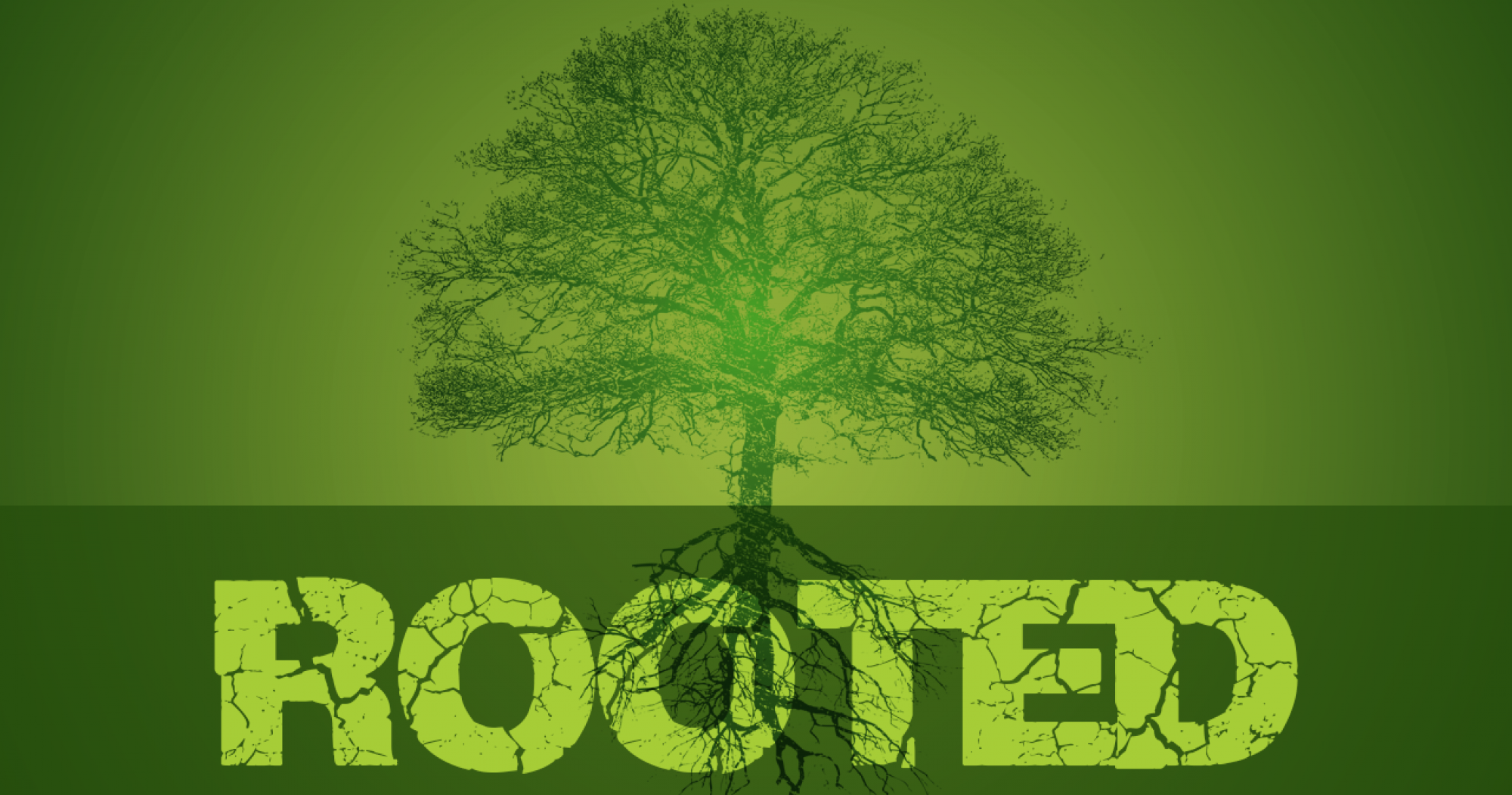 The Rooted Blog